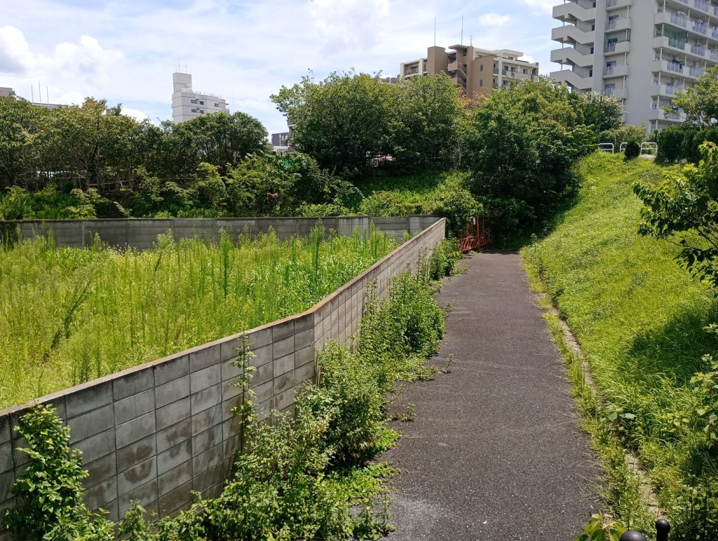 大型アパート用地 195坪 千住桜木1丁目 西側通路2