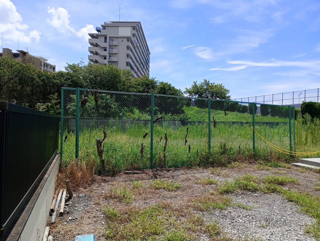 大型アパート用地 195坪 千住桜木1丁目 北から
