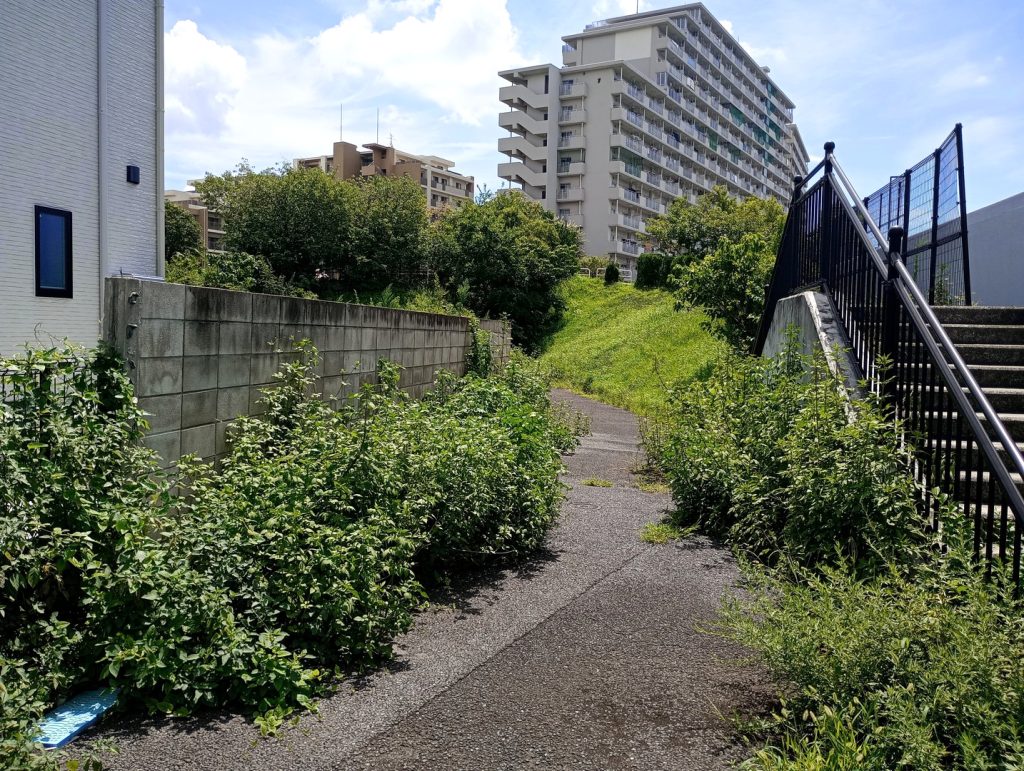 大型アパート用地 195坪 千住桜木1丁目 西側通路